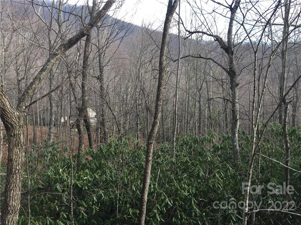 23 Wood Haven Lane #113 - Photo 11