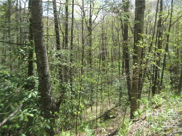 23 Wood Haven Lane #113 - Photo 3