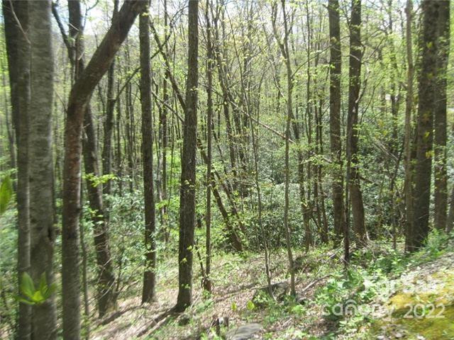 23 Wood Haven Lane #113 - Photo 4