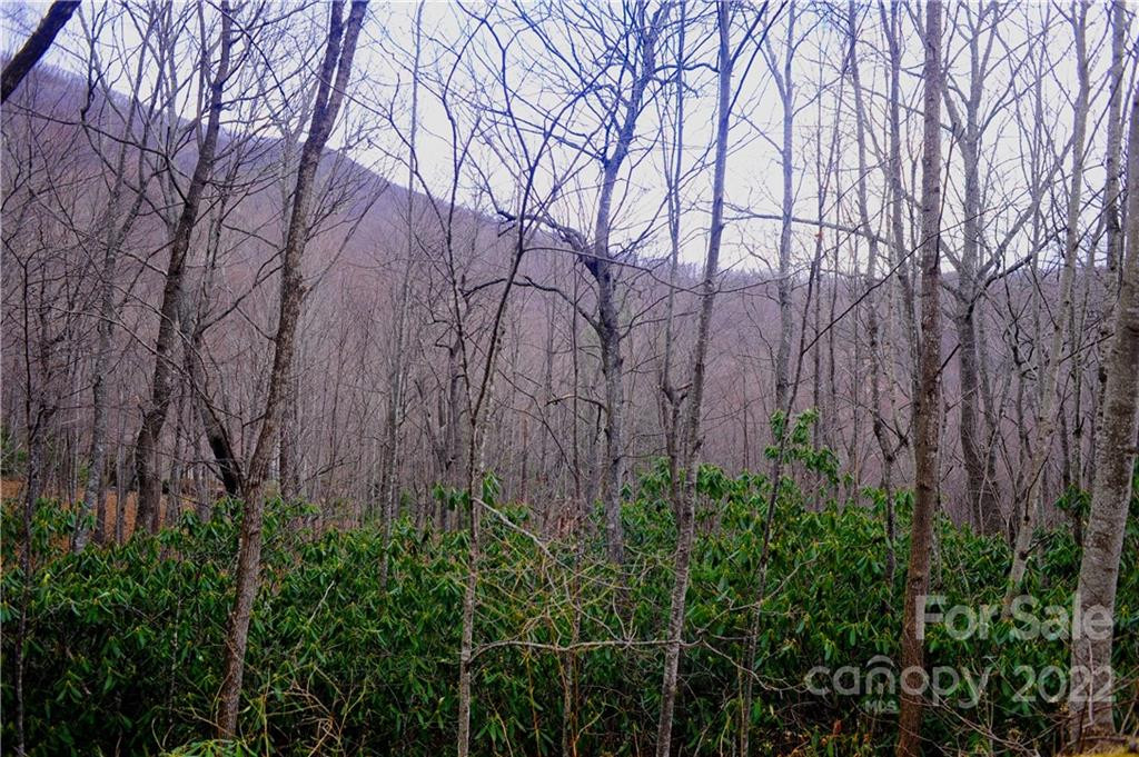 23 Wood Haven Lane #113 - Photo 9