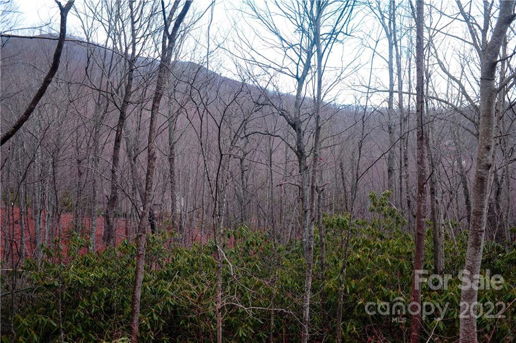 23 Wood Haven Lane #113 - Photo 10