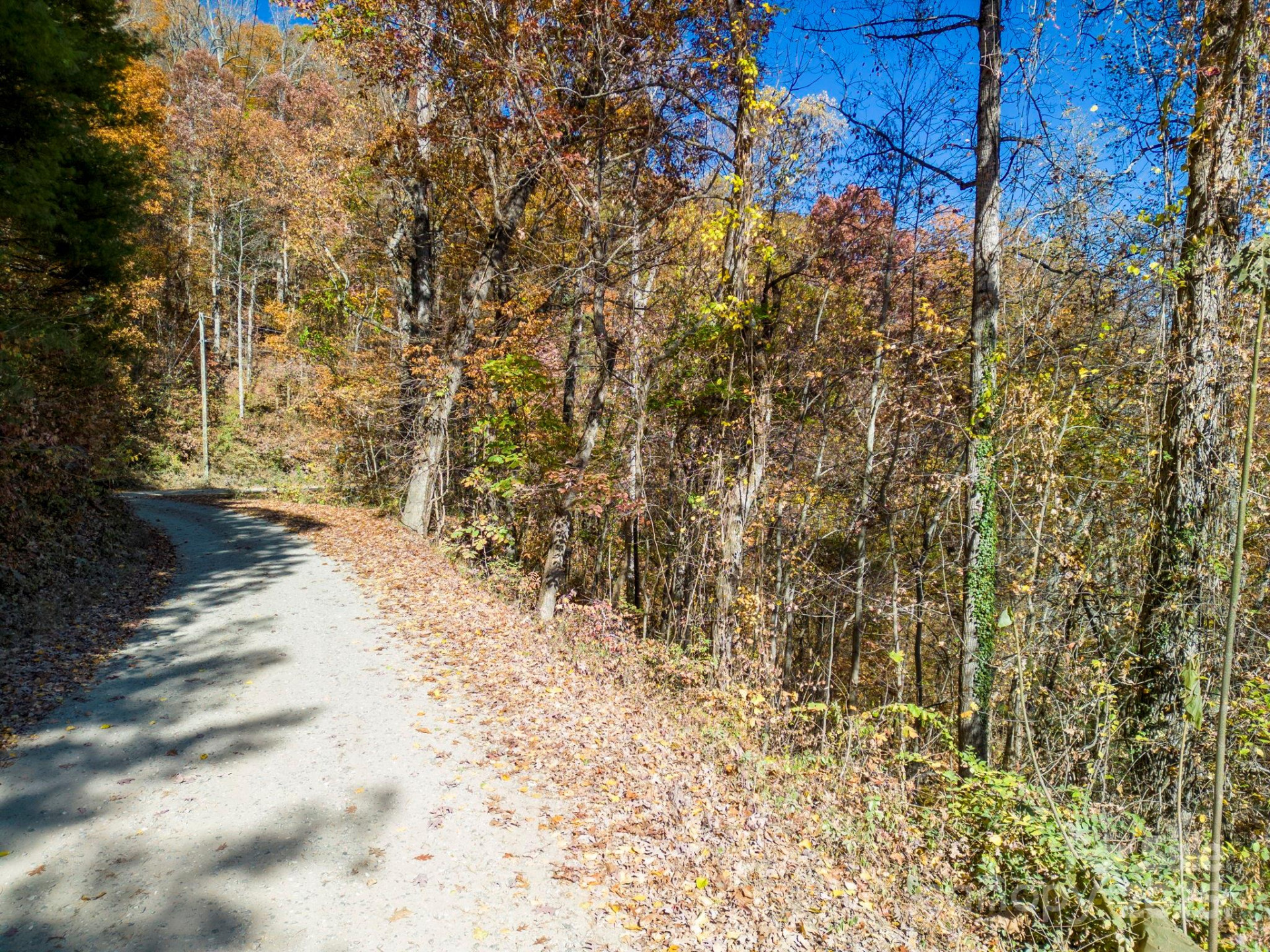 000 Vance Gap Road - Photo 13