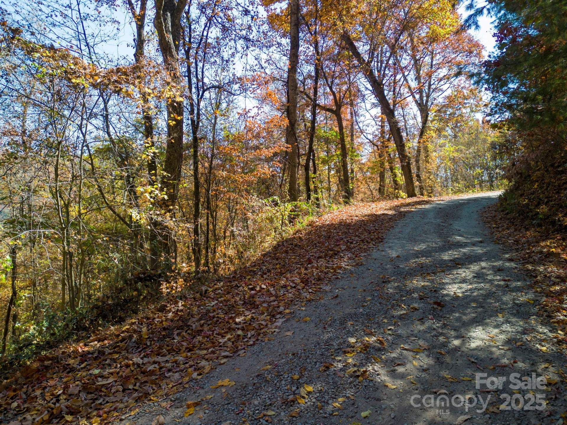 000 Vance Gap Road - Photo 14