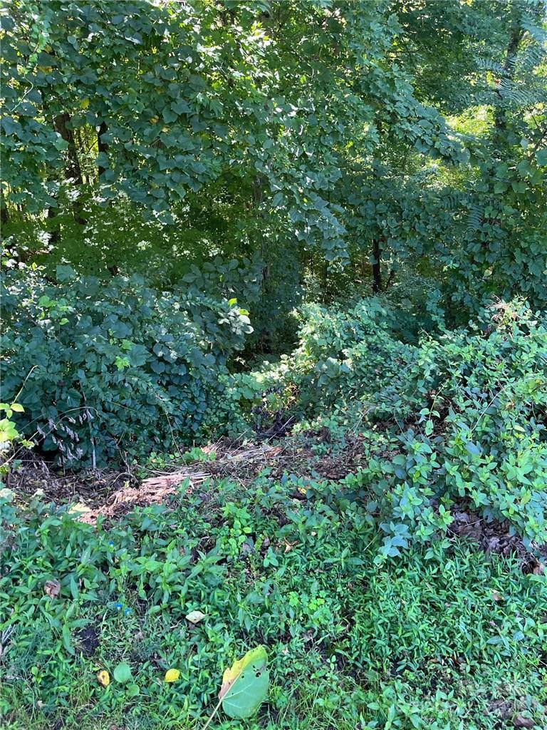 000 Vance Gap Road - Photo 15