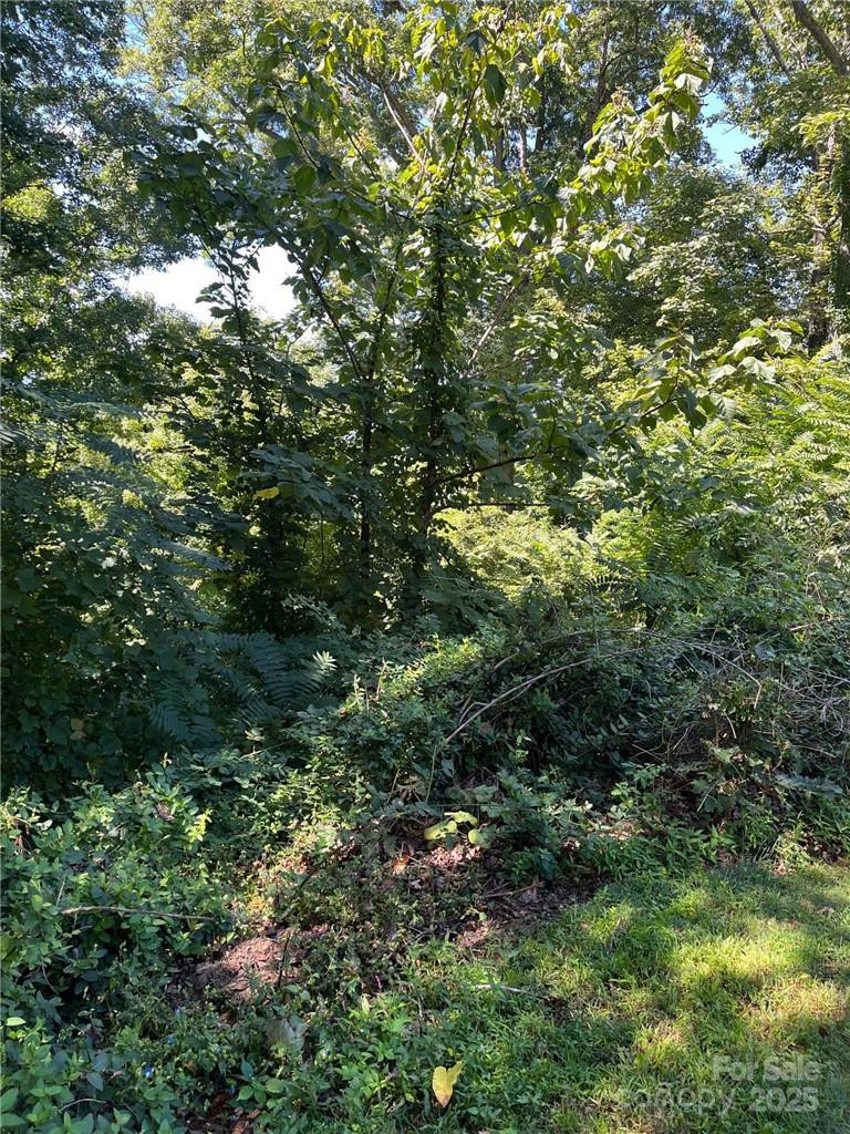 000 Vance Gap Road - Photo 16