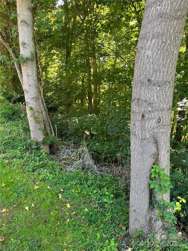 000 Vance Gap Road - Photo 17