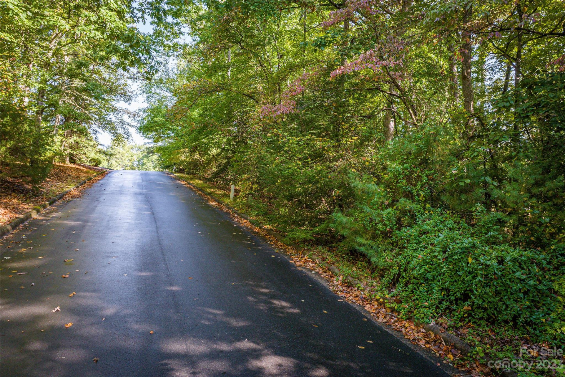 0 Little John Drive - Photo 2