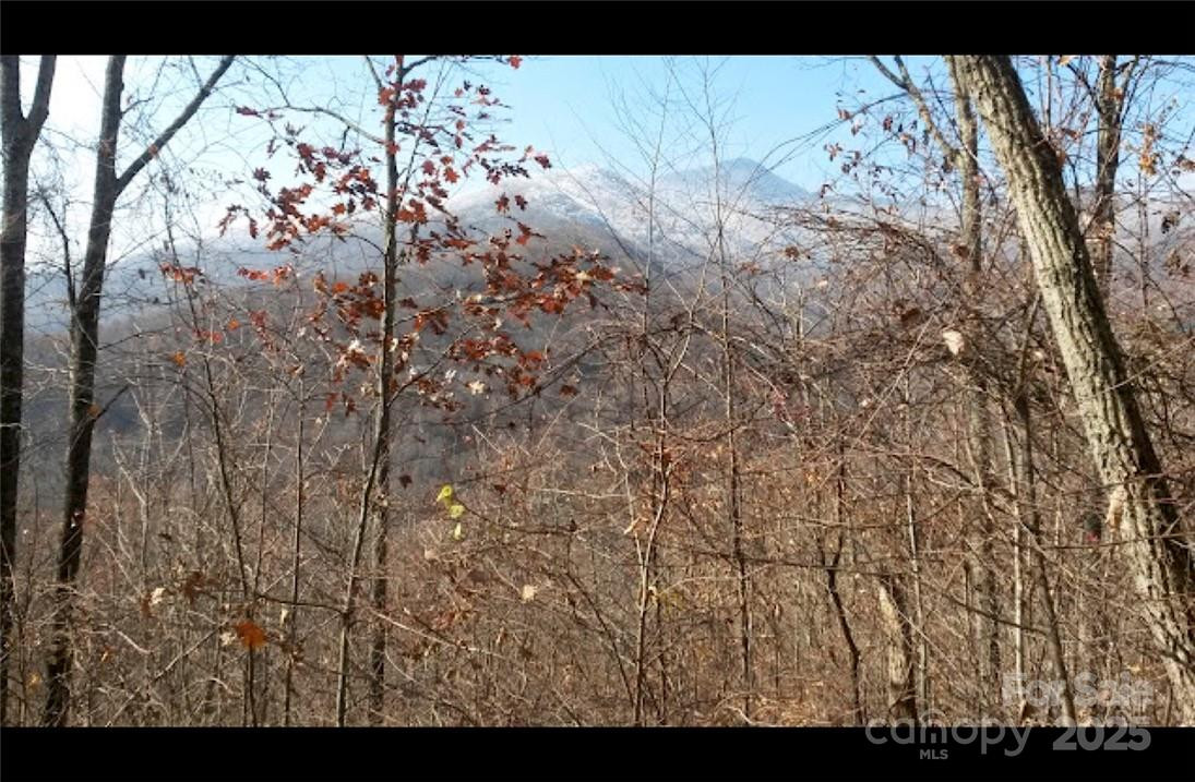 7 Legend Road #7 - Photo 5