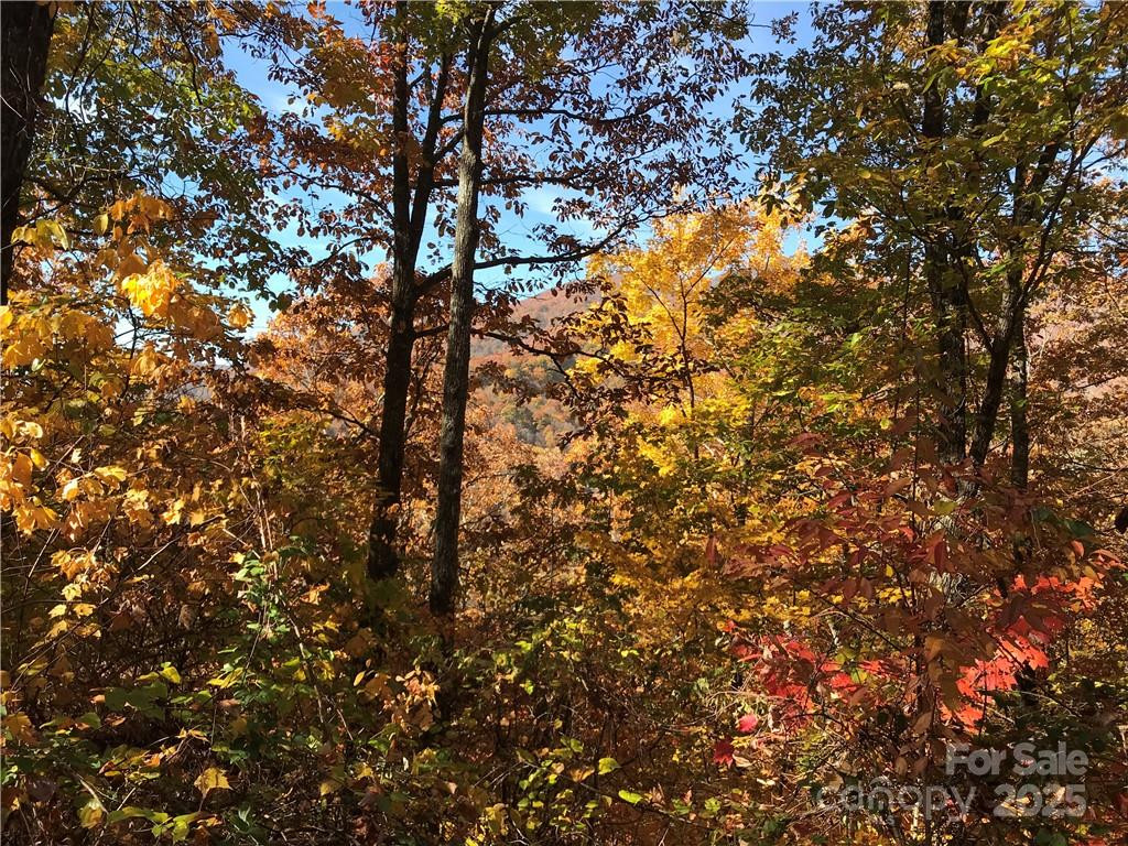 7 Legend Road #7 - Photo 8