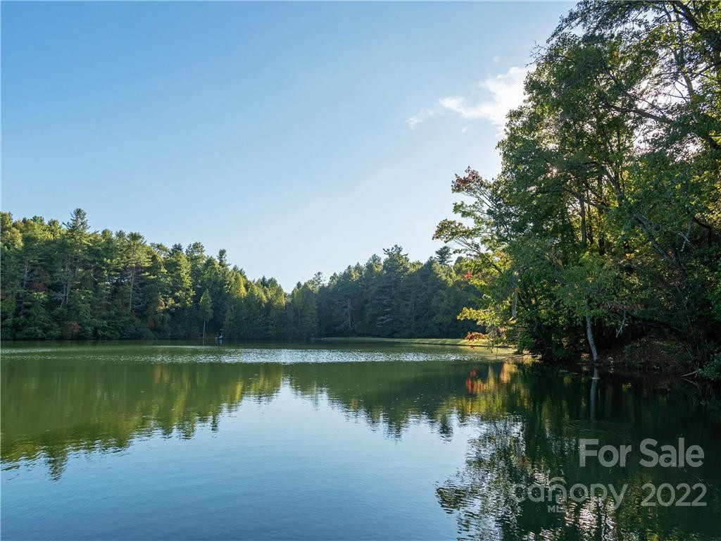 00 Line Runner Ridge Road - Photo 13