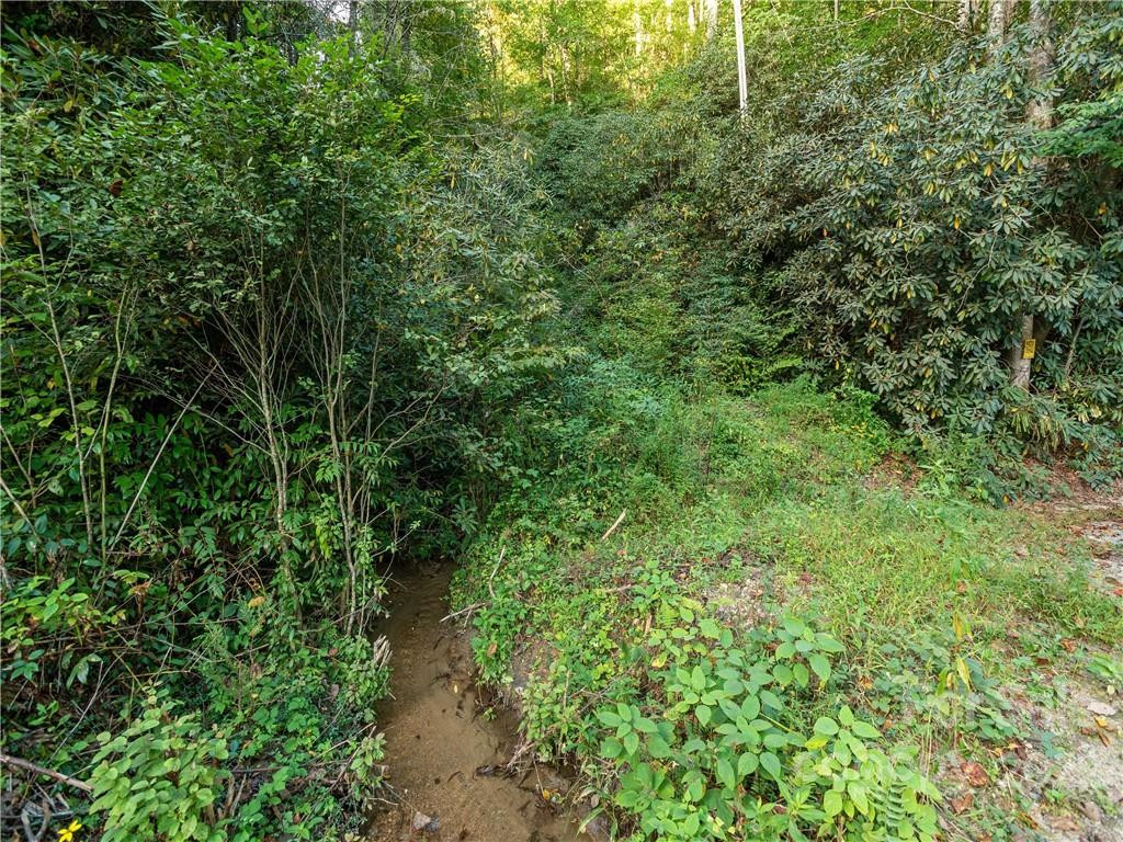 00 Line Runner Ridge Road - Photo 8