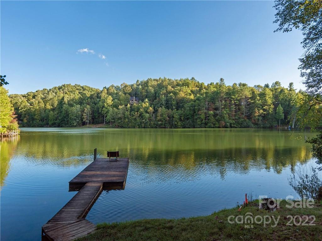 00 Line Runner Ridge Road - Photo 10