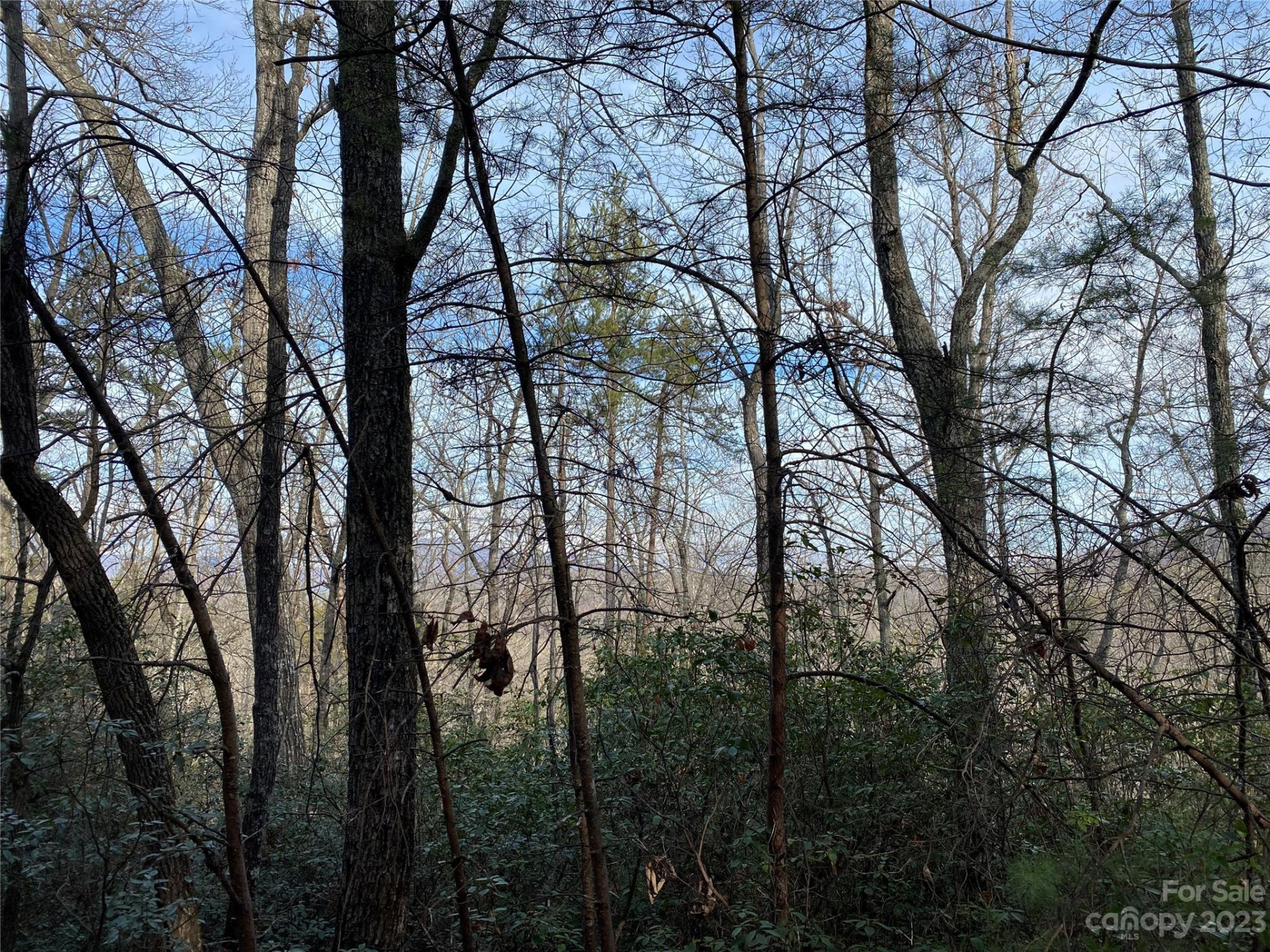 0 Birddog Boulevard - Photo 2