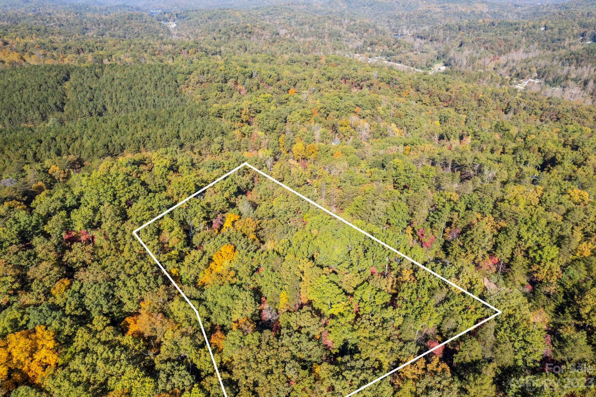 0 Birddog Boulevard - Photo 11