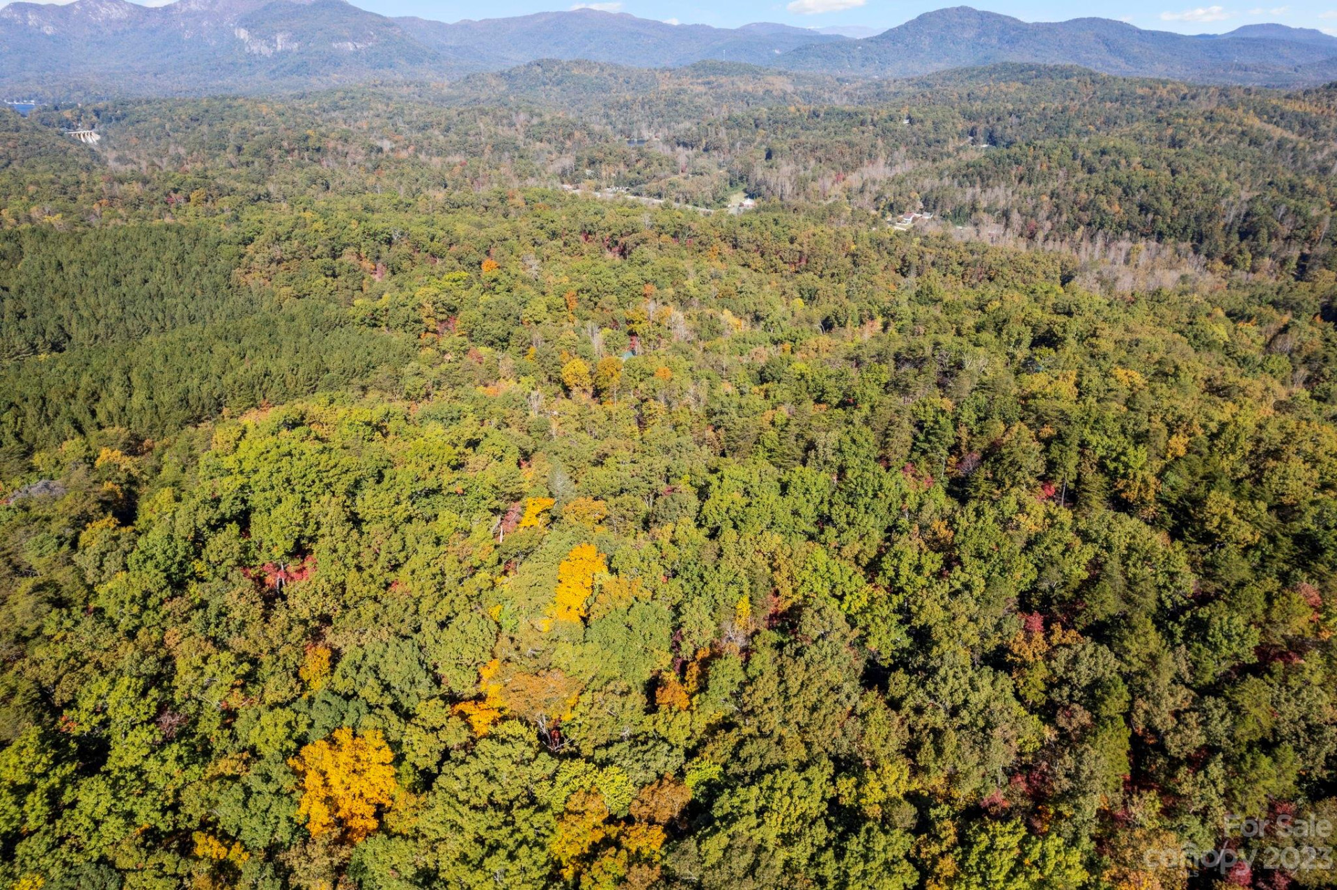 0 Birddog Boulevard - Photo 12