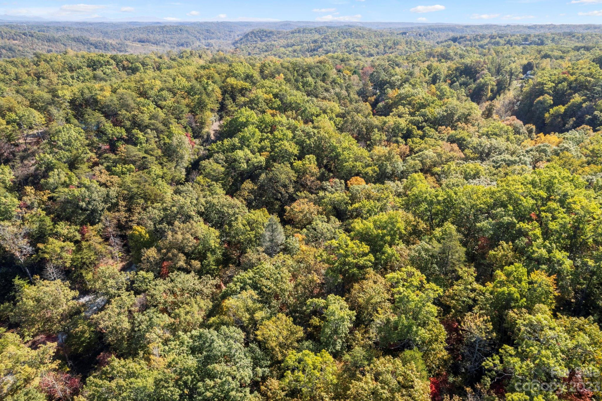 0 Birddog Boulevard - Photo 15