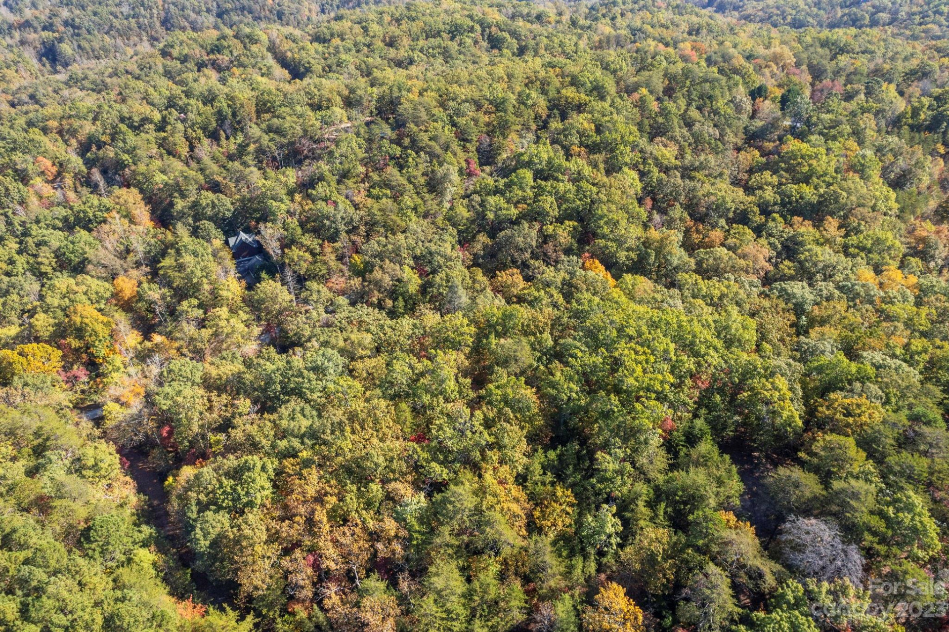 0 Birddog Boulevard - Photo 17