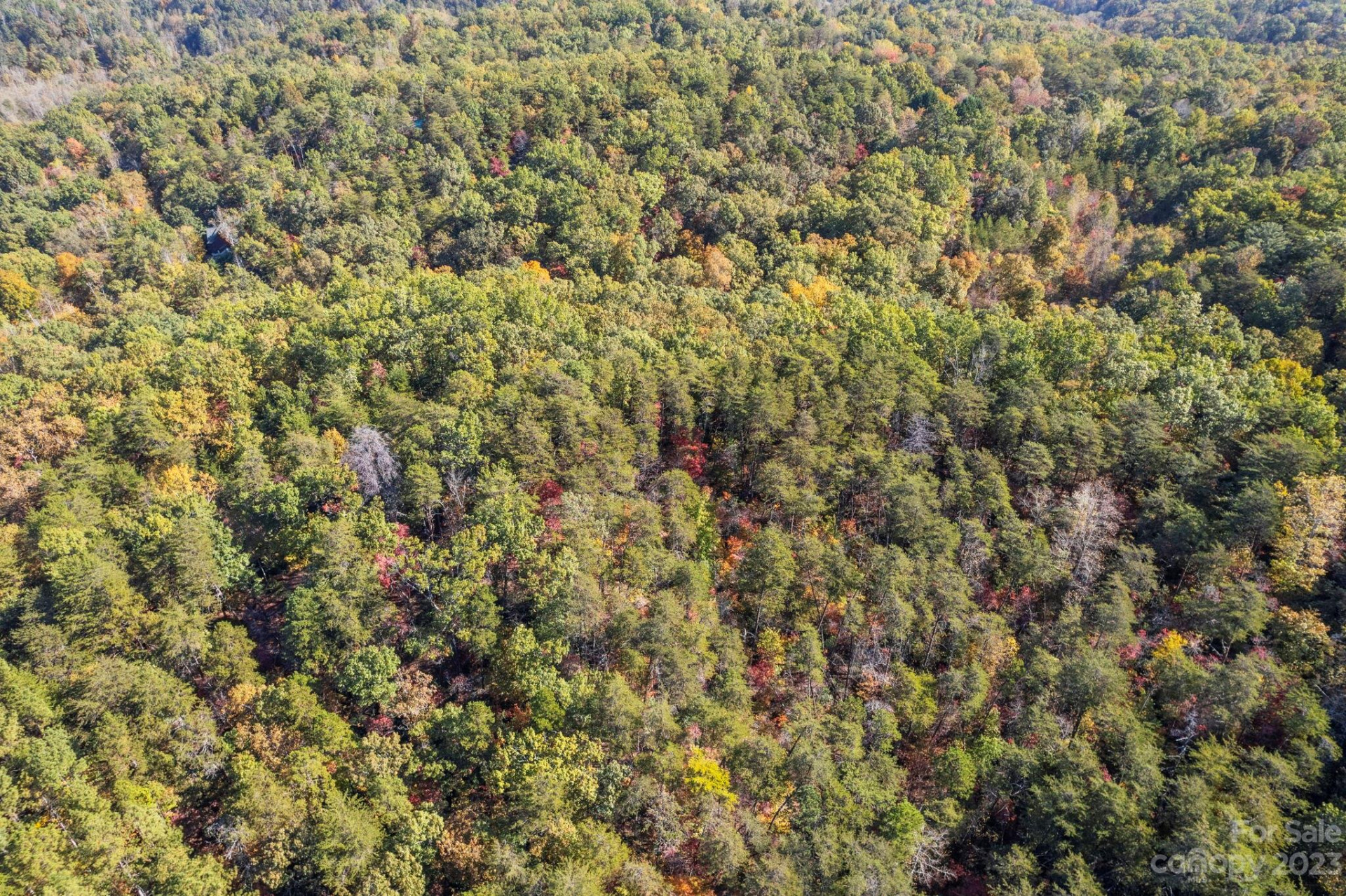 0 Birddog Boulevard - Photo 19