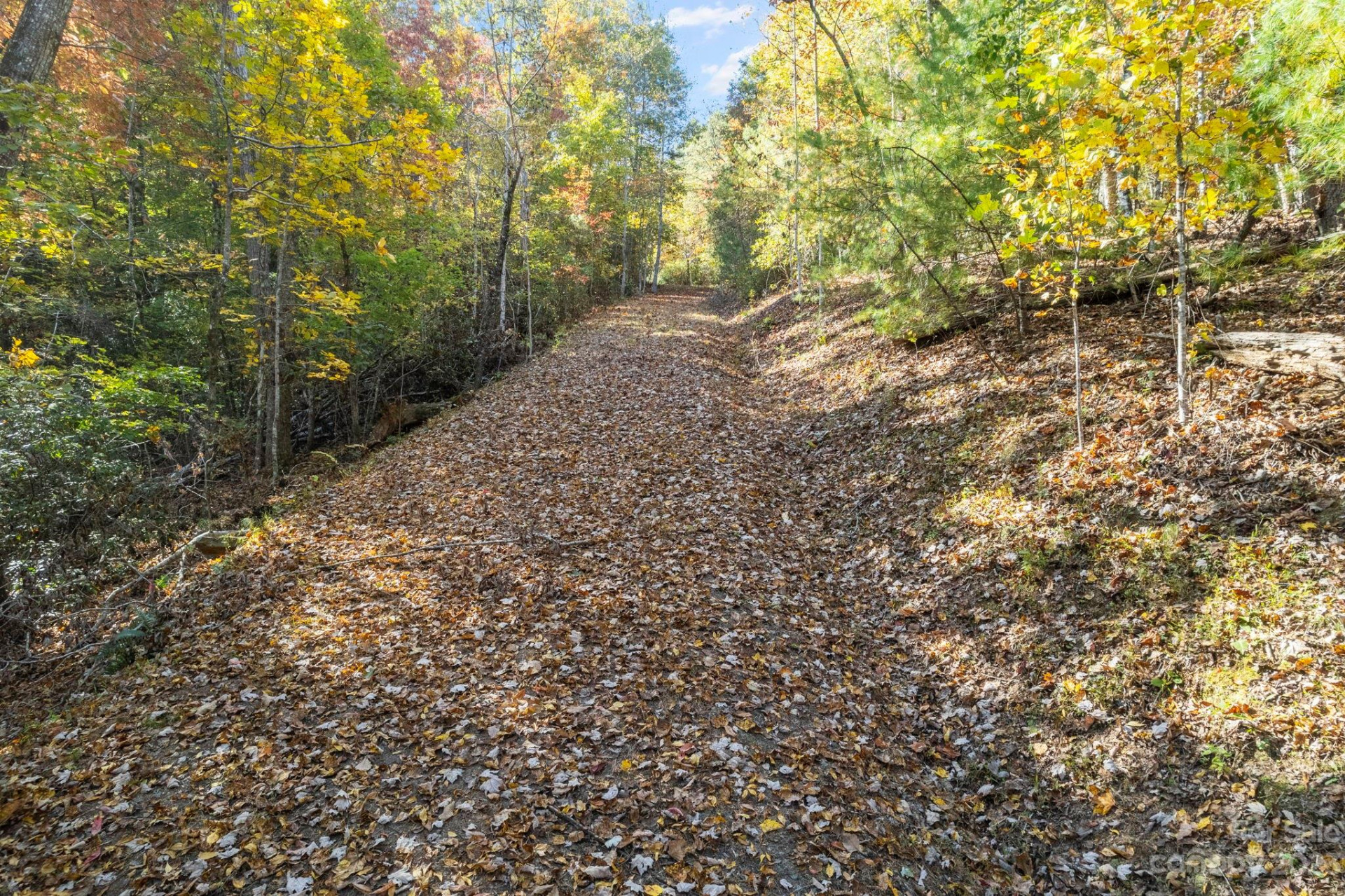 0 Birddog Boulevard - Photo 3