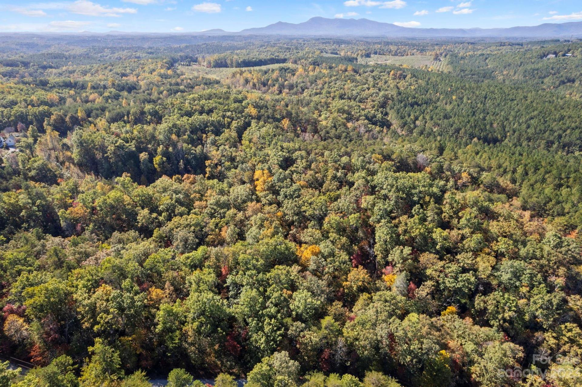 0 Birddog Boulevard - Photo 21