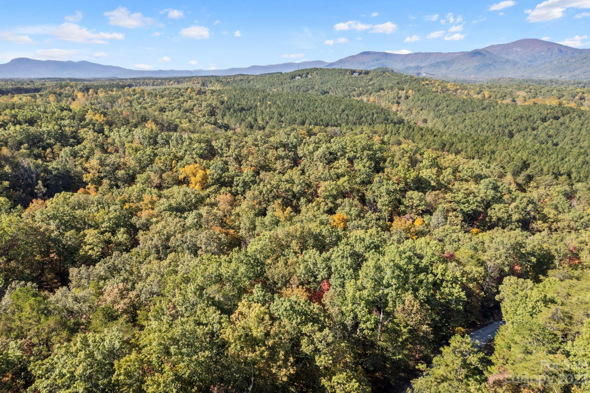 0 Birddog Boulevard - Photo 22