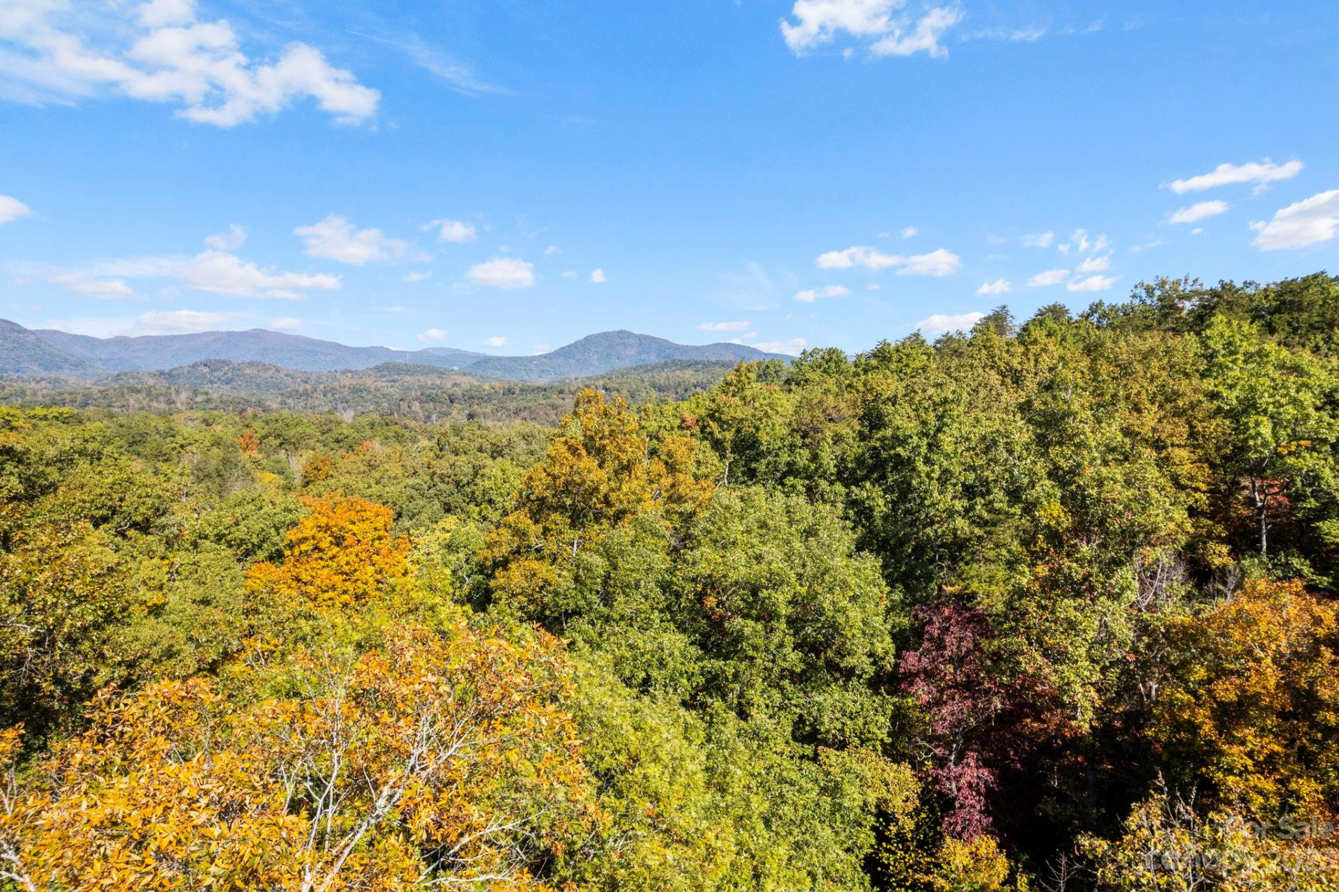 0 Birddog Boulevard - Photo 26