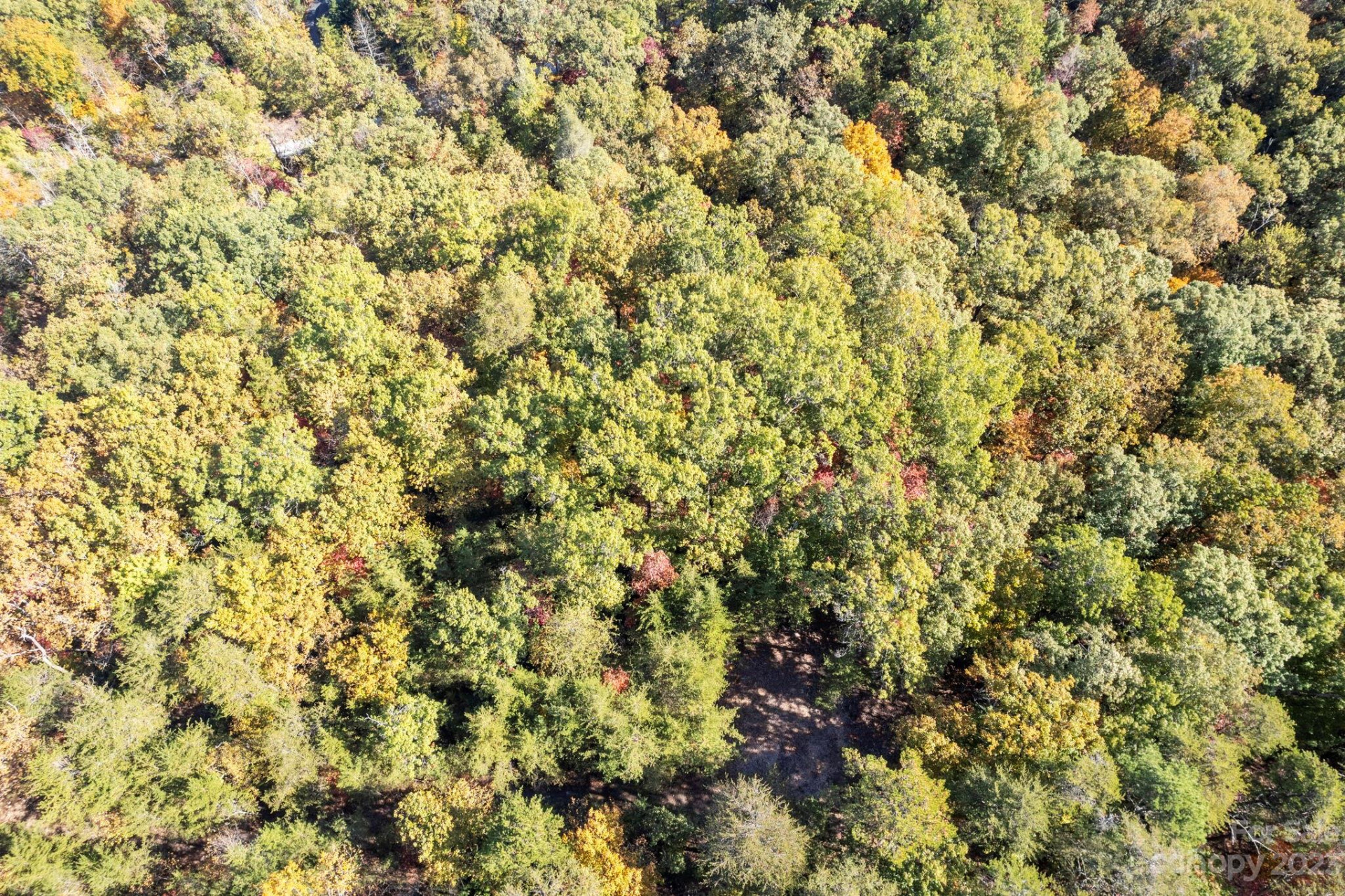 0 Birddog Boulevard - Photo 27