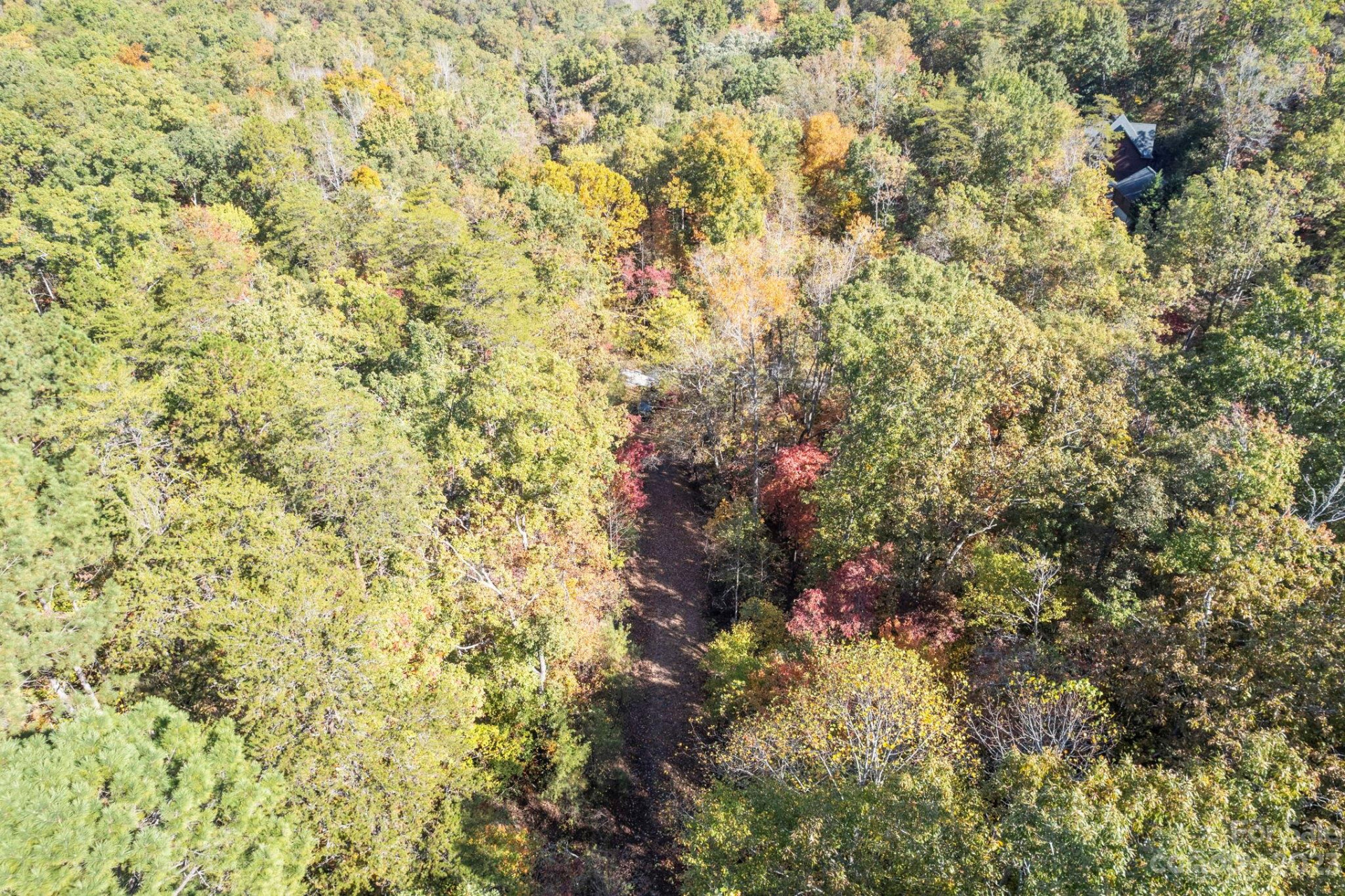 0 Birddog Boulevard - Photo 28