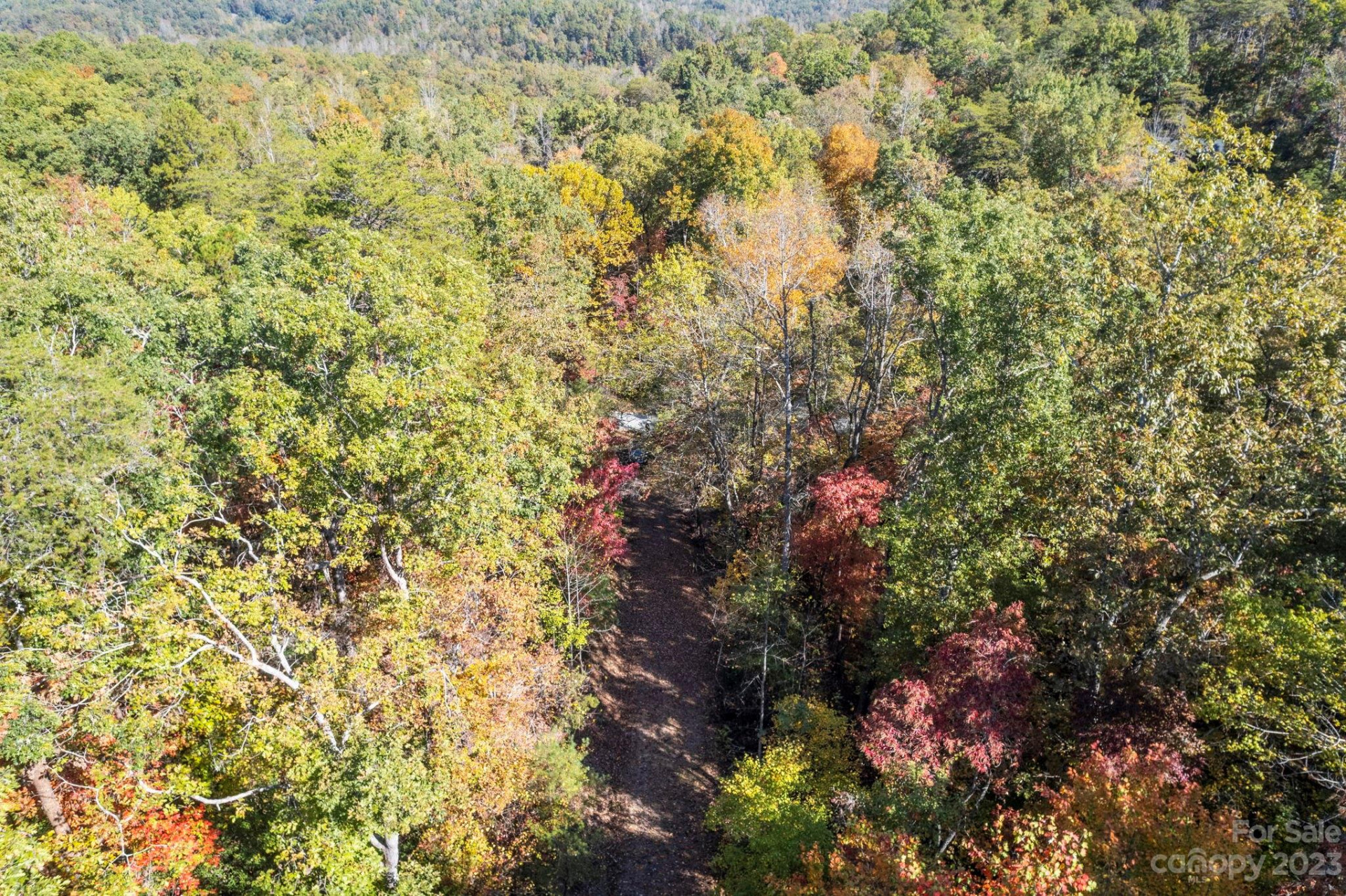 0 Birddog Boulevard - Photo 29