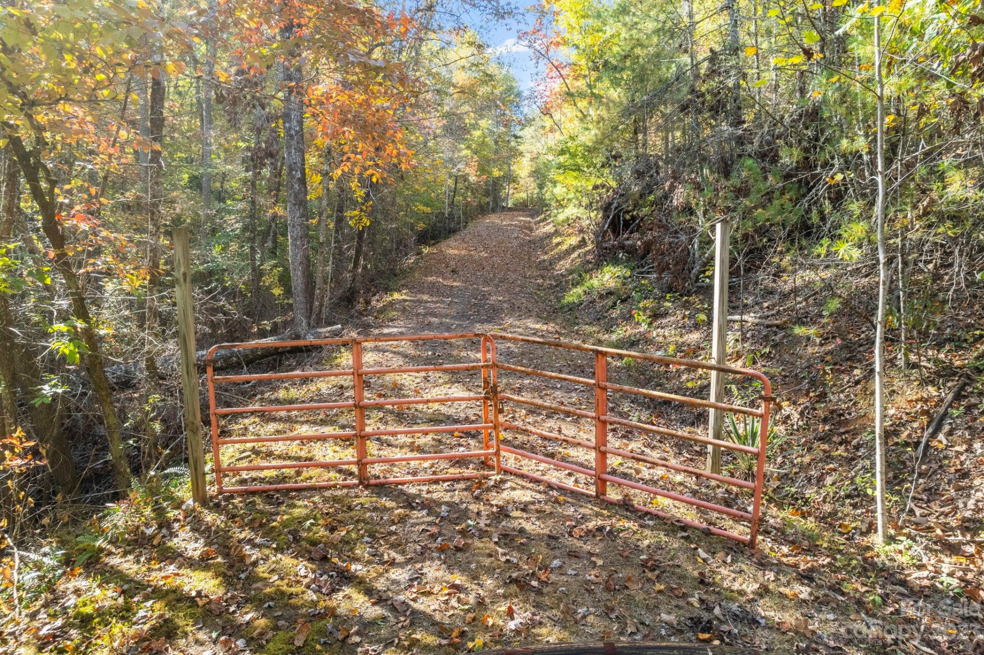 0 Birddog Boulevard - Photo 30