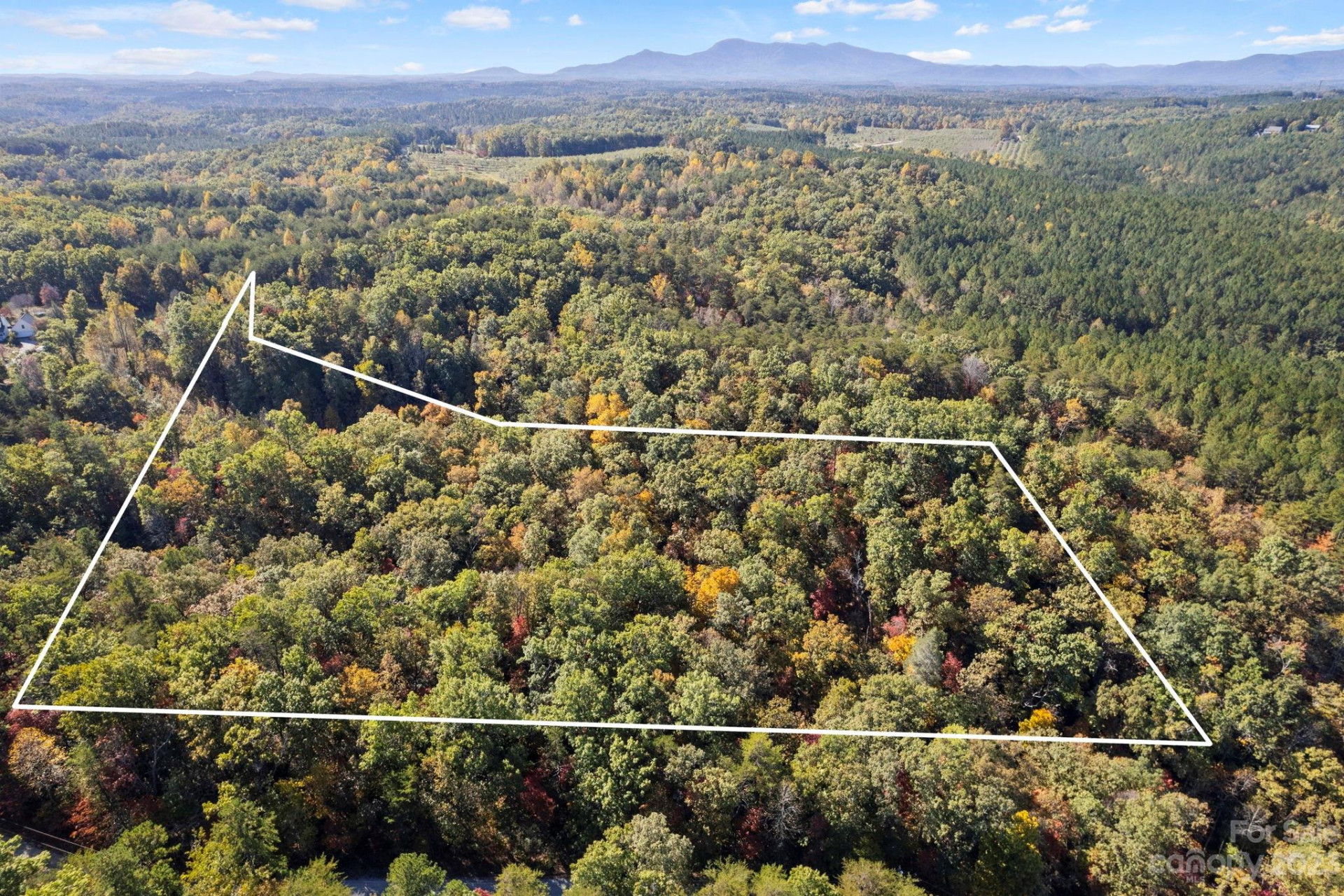 0 Birddog Boulevard - Photo 4