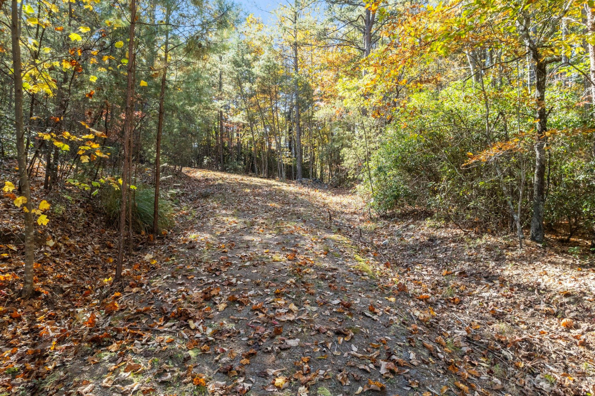 0 Birddog Boulevard - Photo 32