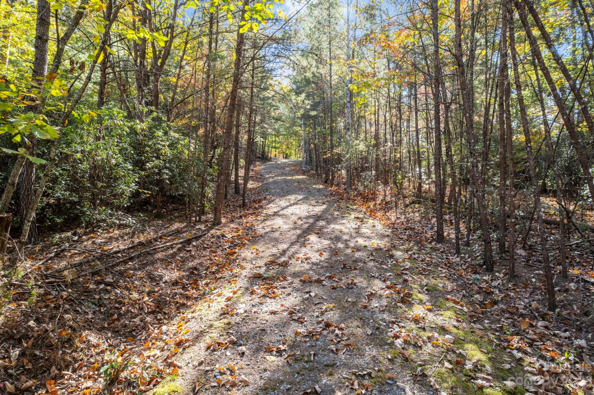 0 Birddog Boulevard - Photo 33