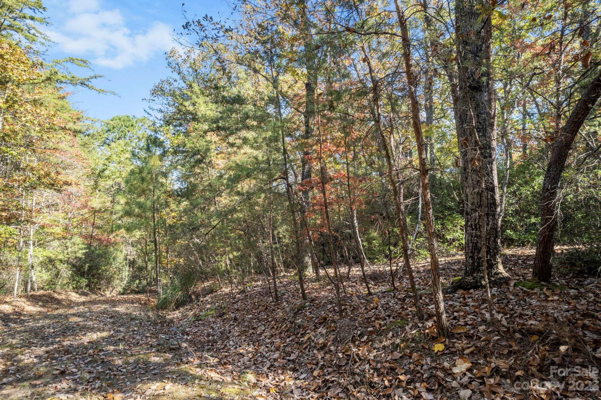 0 Birddog Boulevard - Photo 34