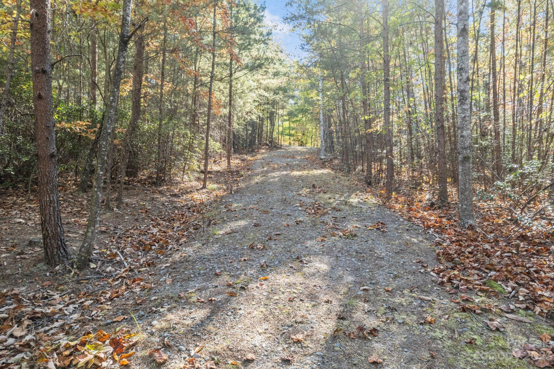 0 Birddog Boulevard - Photo 35