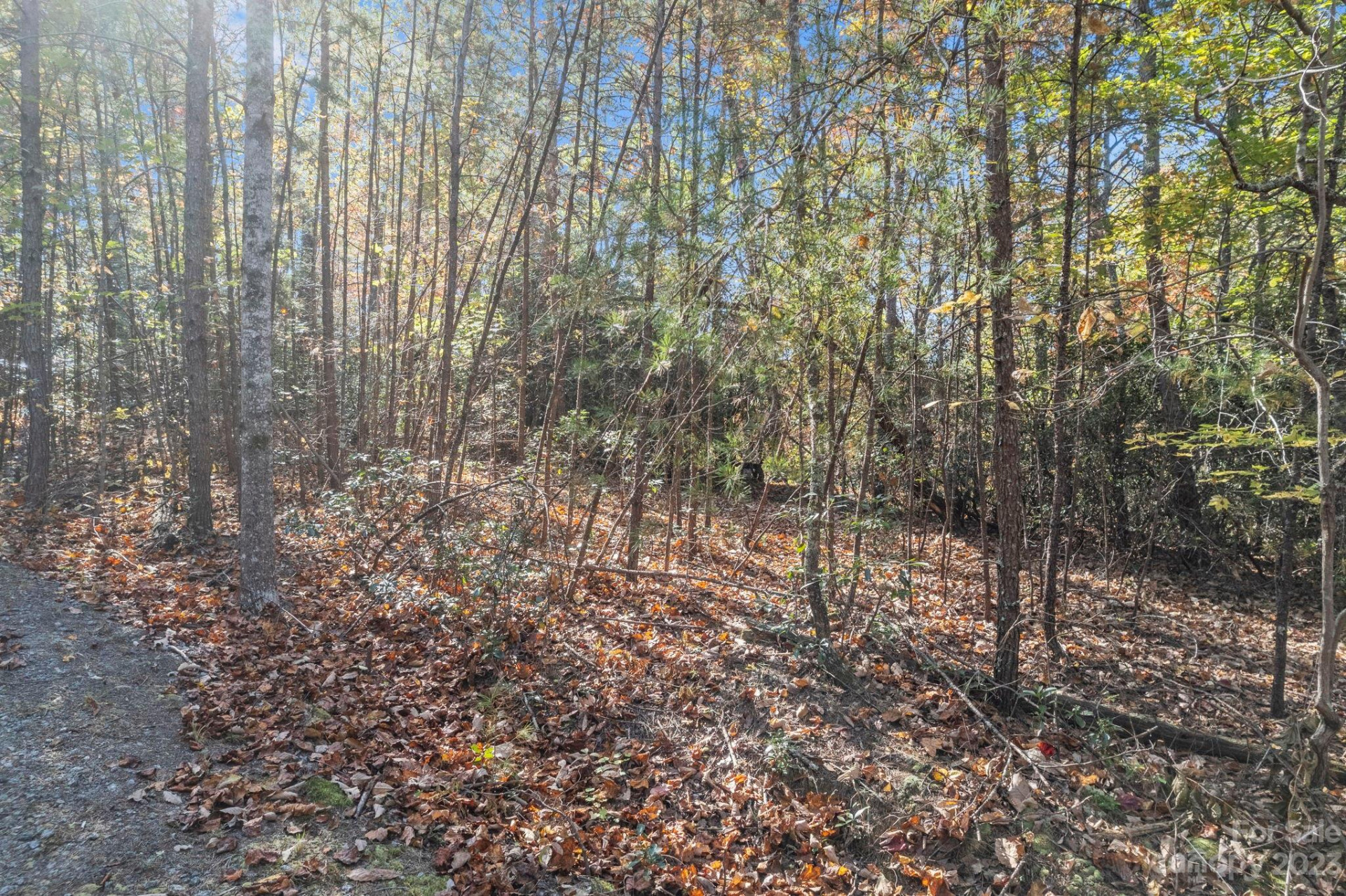 0 Birddog Boulevard - Photo 36