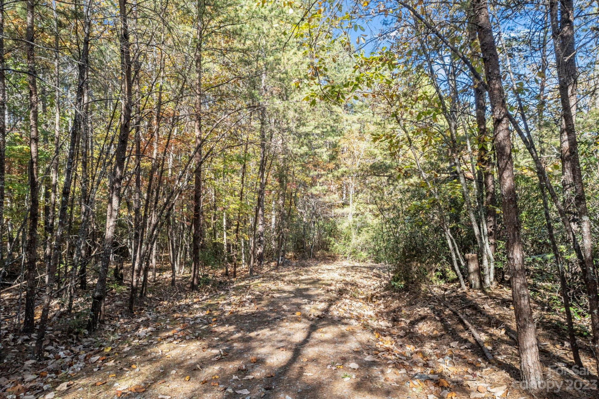 0 Birddog Boulevard - Photo 37