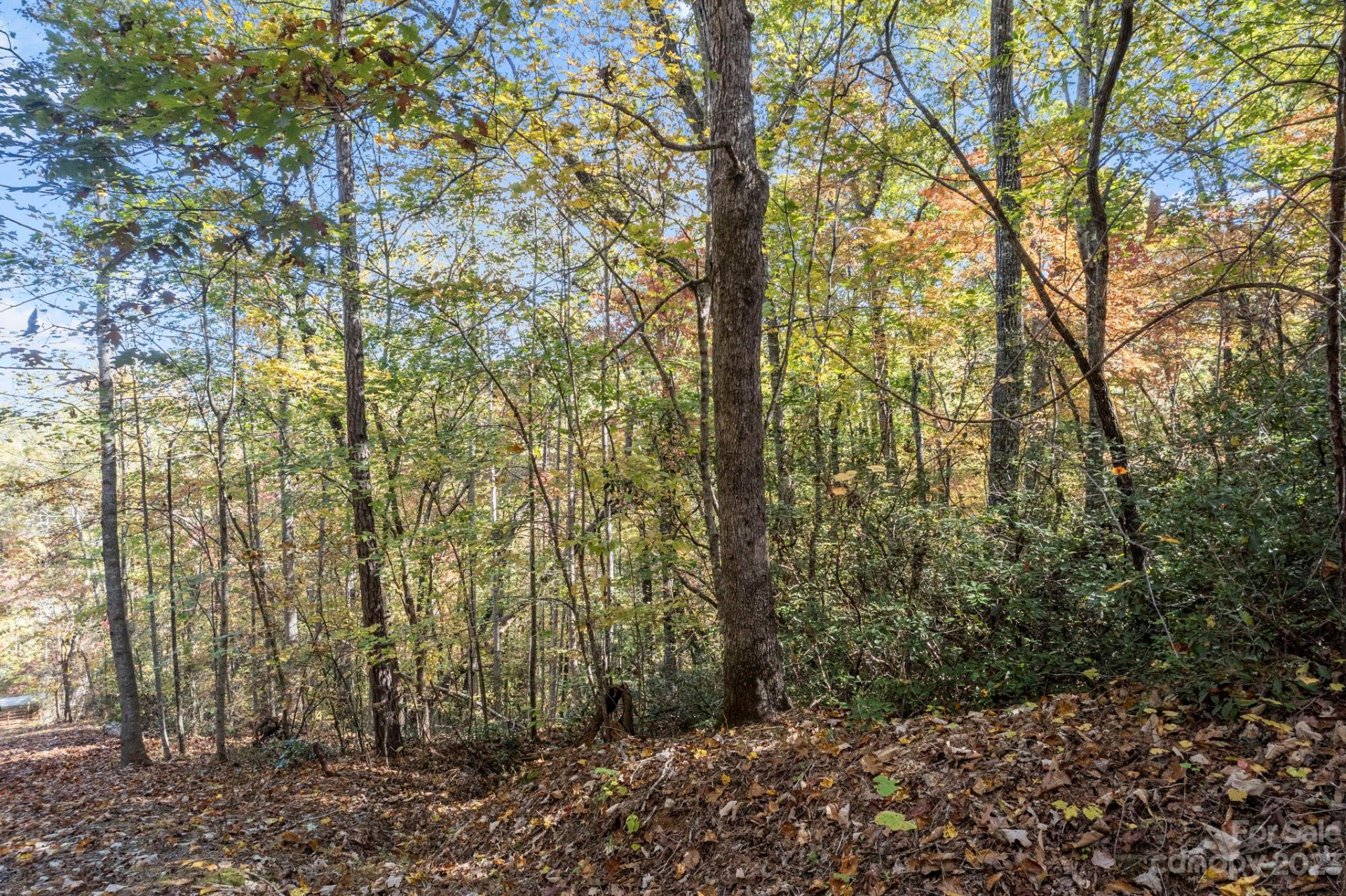 0 Birddog Boulevard - Photo 38