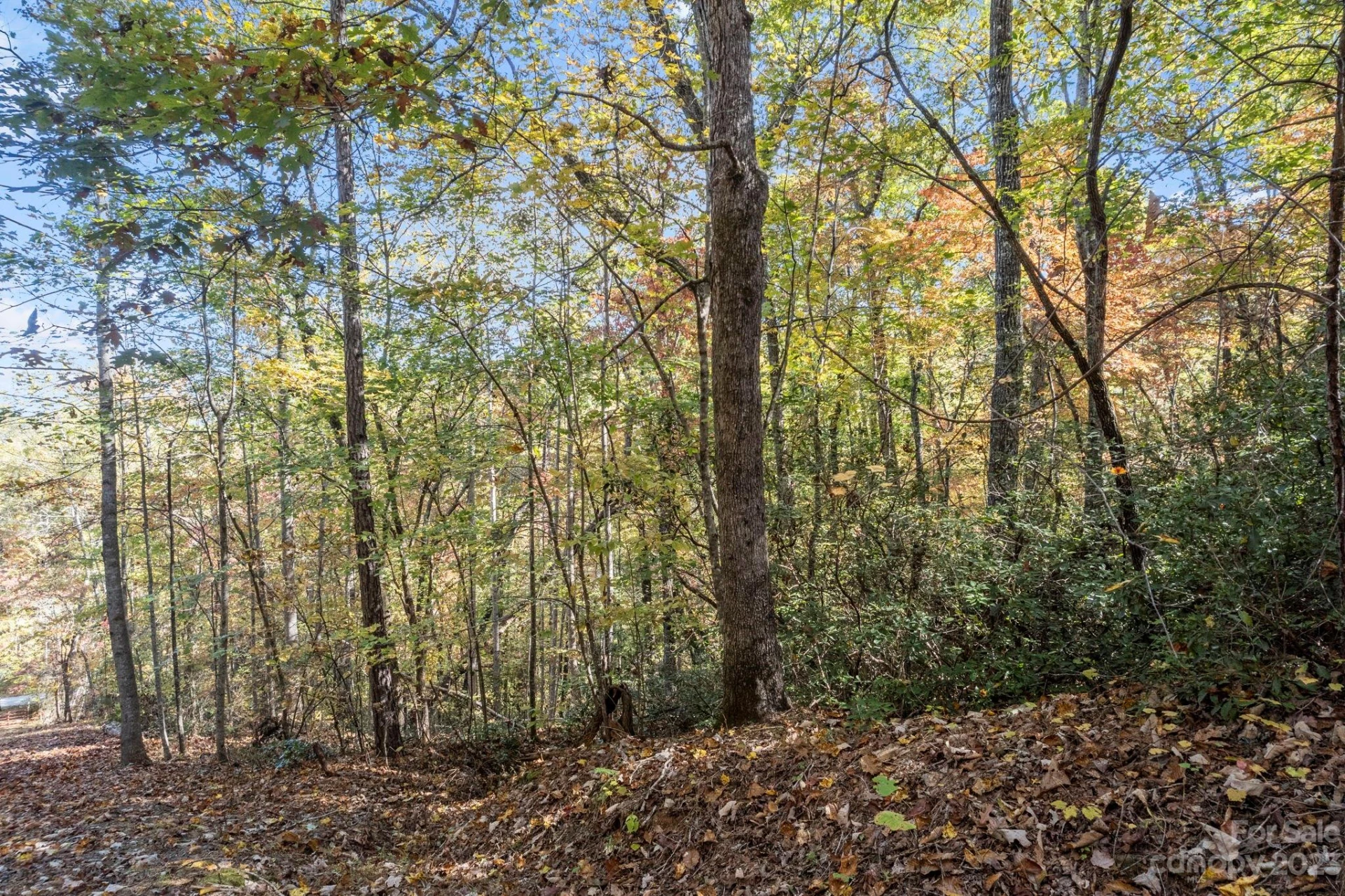 0 Birddog Boulevard - Photo 38