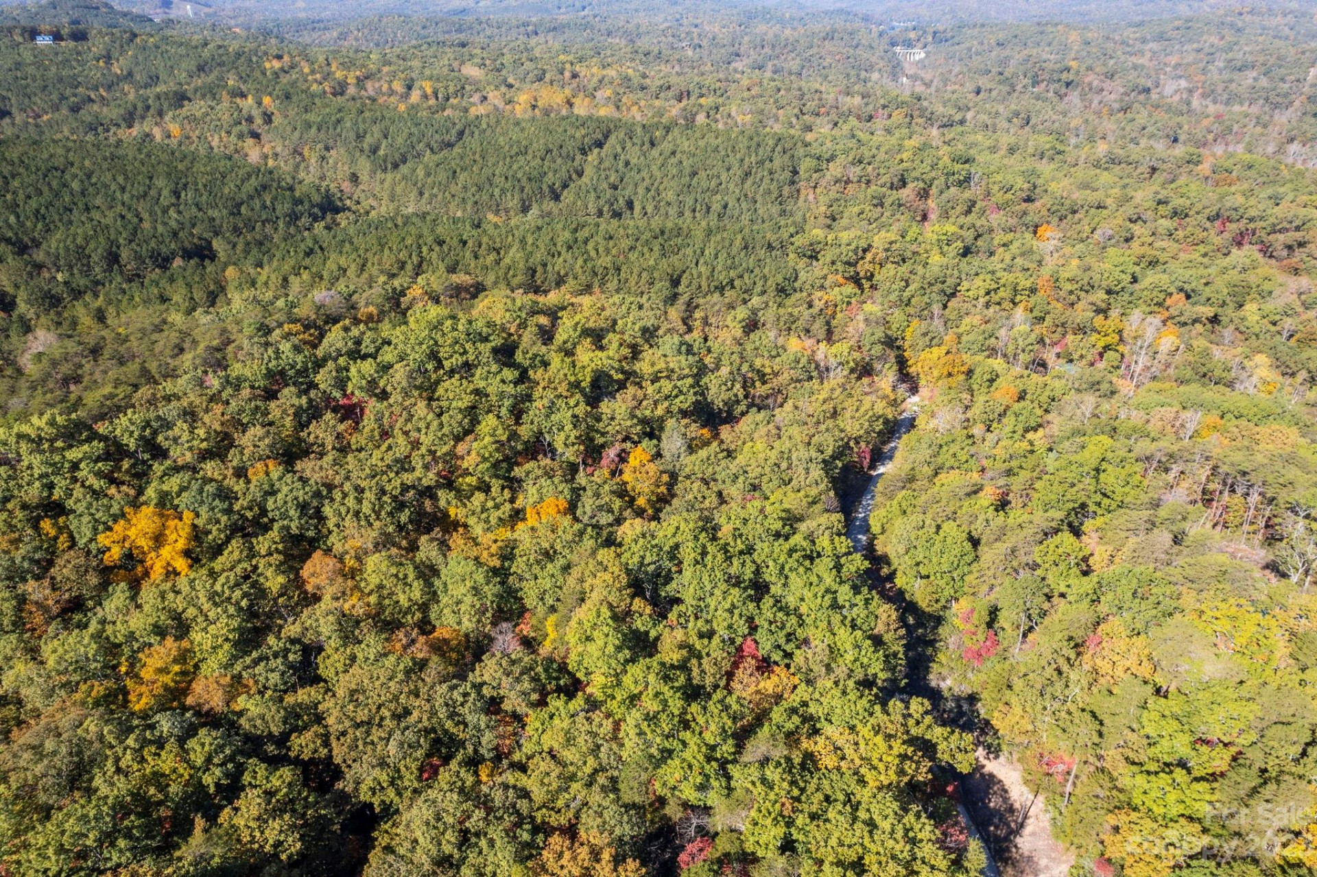 0 Birddog Boulevard - Photo 8