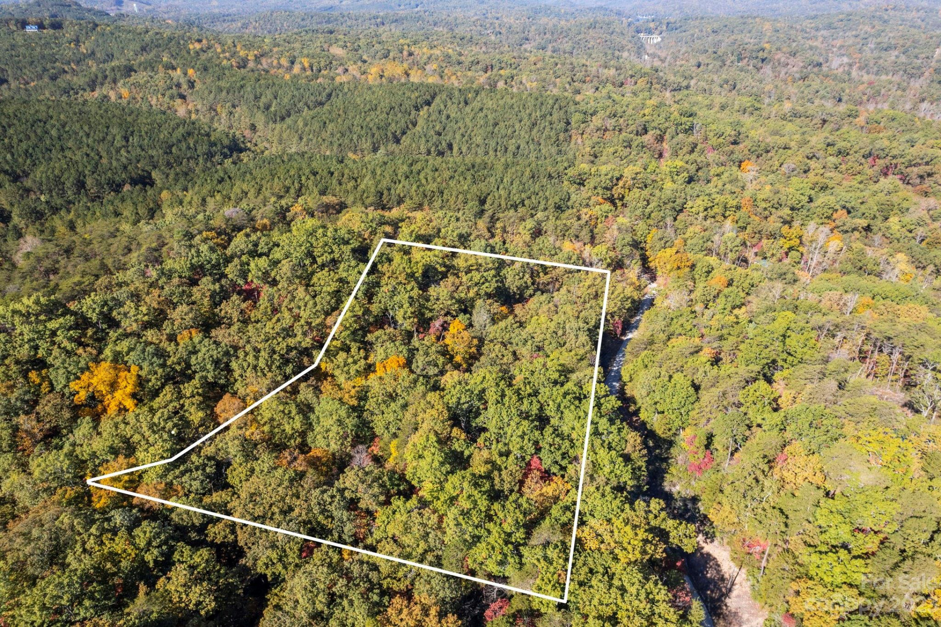 0 Birddog Boulevard - Photo 9