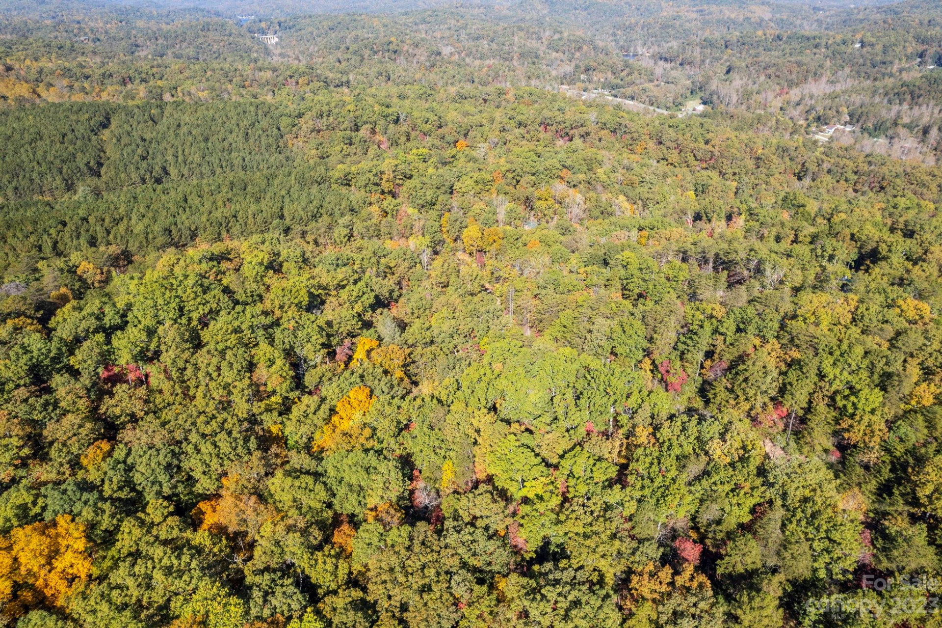 0 Birddog Boulevard - Photo 10