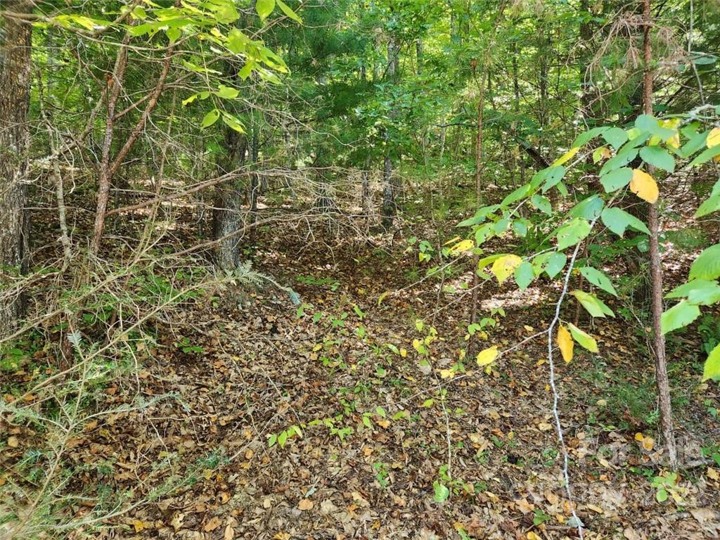 23 Overlook Park Drive #48 - Photo 12