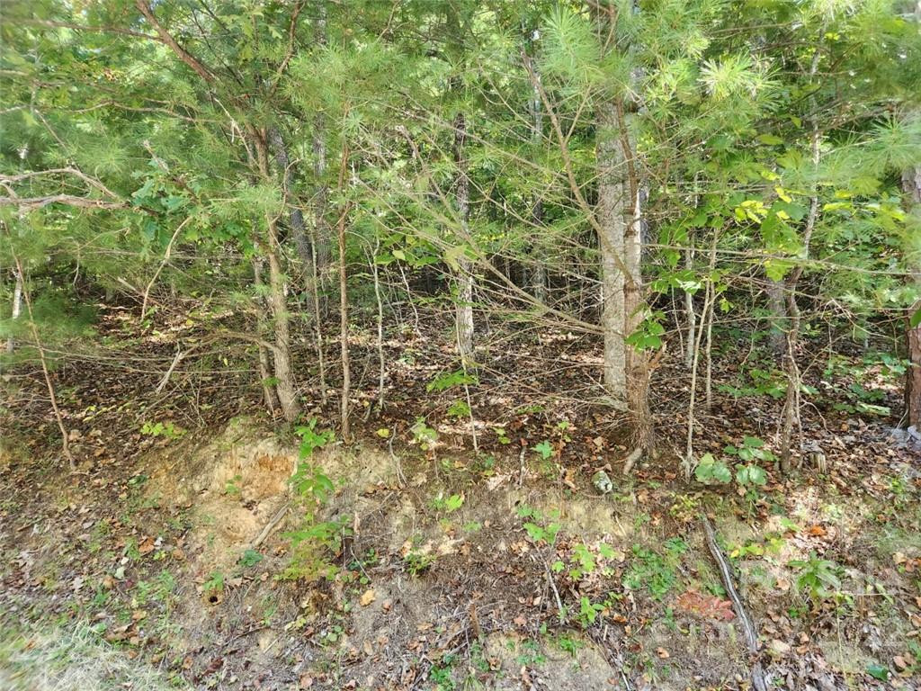 23 Overlook Park Drive #48 - Photo 14