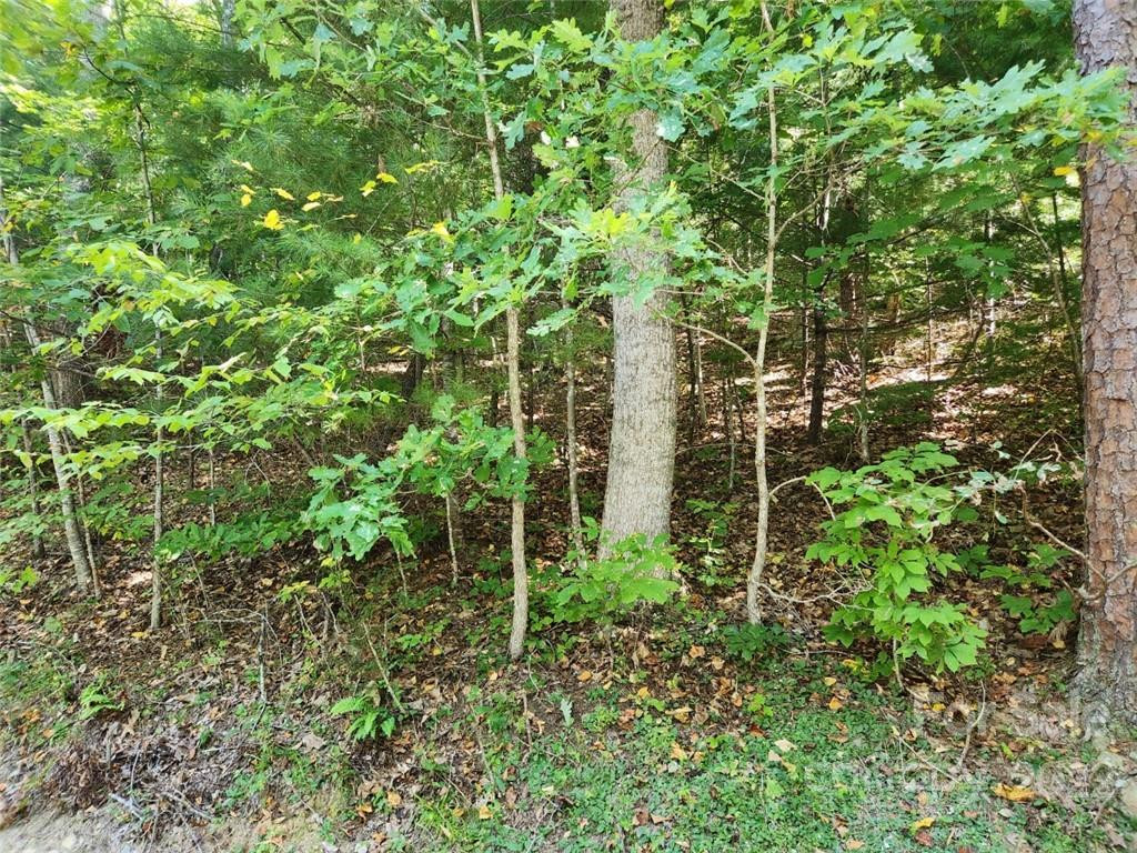 23 Overlook Park Drive #48 - Photo 6