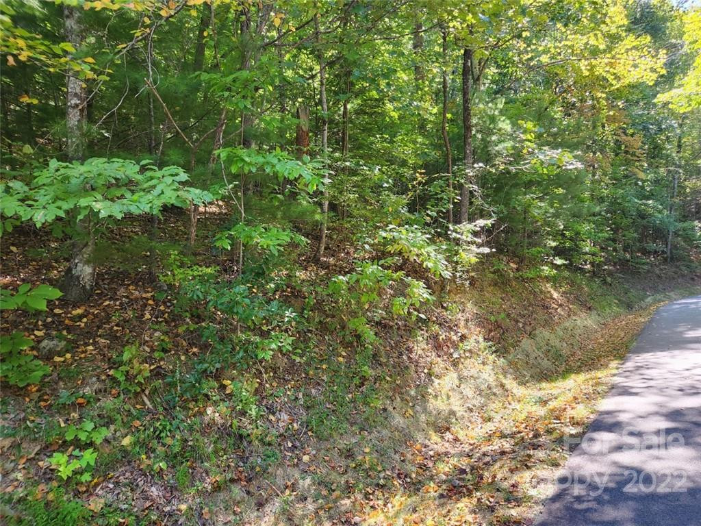 23 Overlook Park Drive #48 - Photo 7