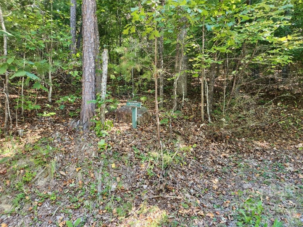 23 Overlook Park Drive #48 - Photo 8