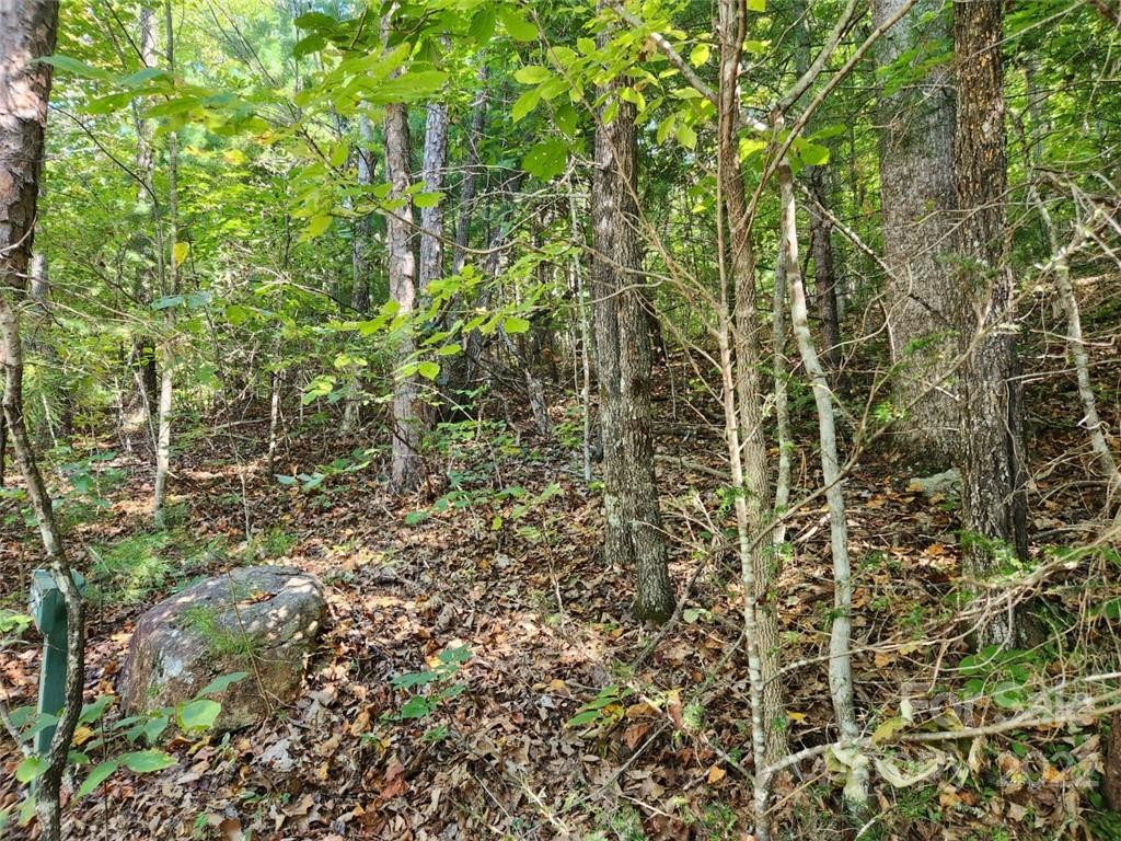 23 Overlook Park Drive #48 - Photo 9