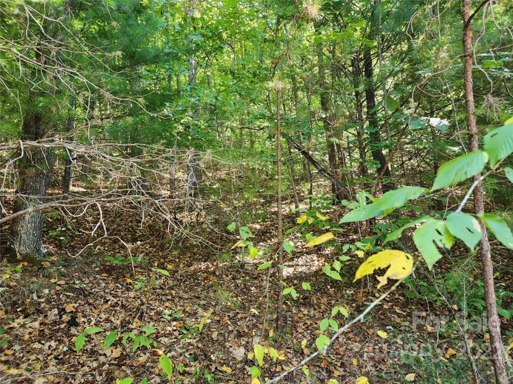 23 Overlook Park Drive #48 - Photo 10