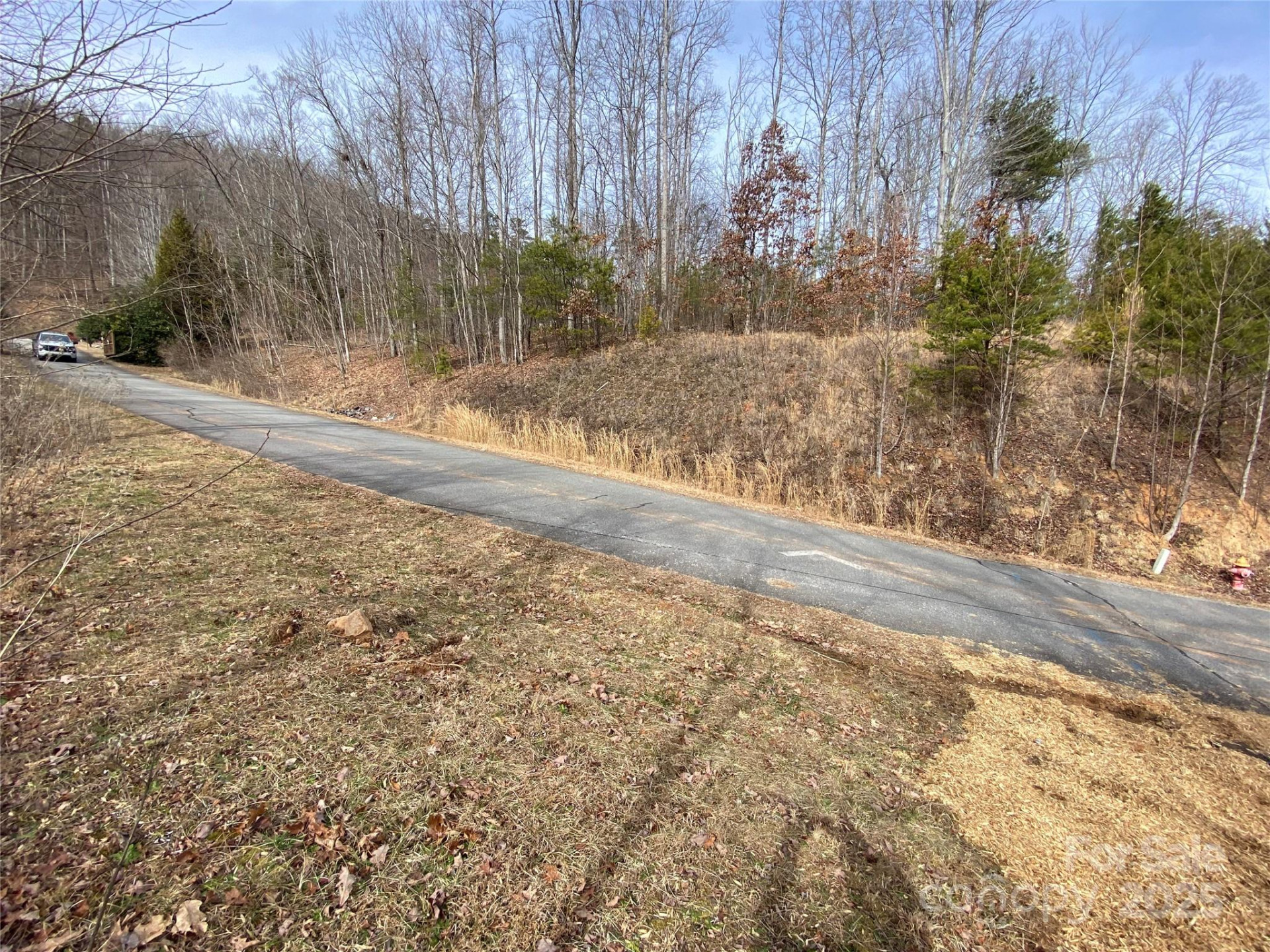 46 Holmstead Drive #46 - Photo 2